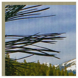 Gebirgsfallfabrik Stoff