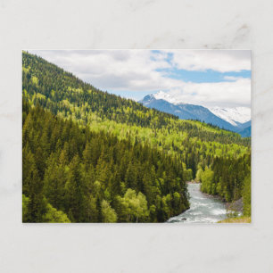 Gebirgsfluss im Wald von British Columbia Postkarte