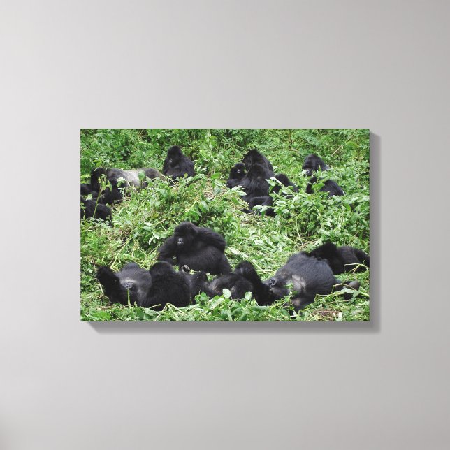 Gebirgsgorillengruppe Leinwand (Vorderseite)