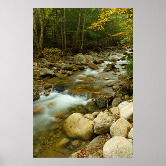 Gebirgskaskade Poster (Vorne)