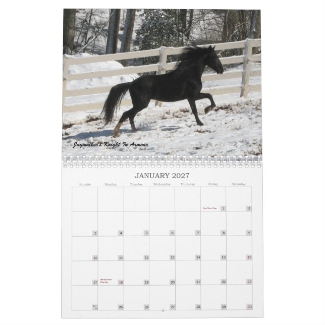 Gebirgspferdekalender 2013 kalender (Jan 2027)