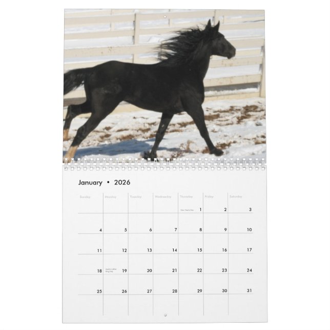 Gebirgspferdekalender 2014 kalender (Jan 2026)