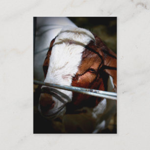 Gebirgsranch-Visitenkarten Visitenkarte