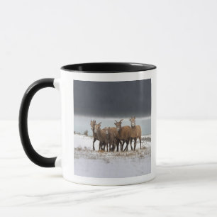 Gebirgsschaf-Familie Tasse