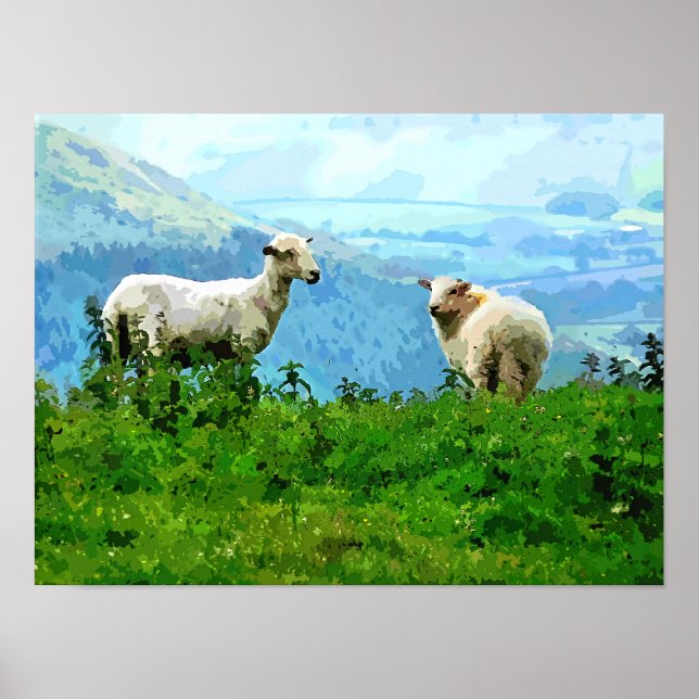 GEBIRGSSCHAFE POSTER (Vorne)