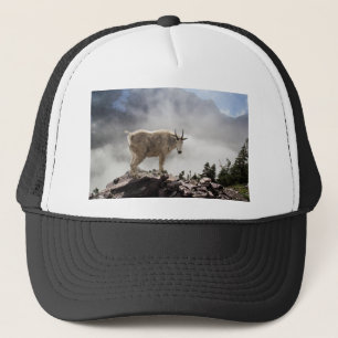 Gebirgsziege auf Gunsight-Durchlauf-Spur Truckerkappe