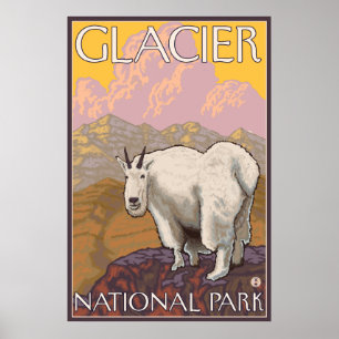 Gebirgsziege - Glacier Nationalpark, M.Ü. Poster