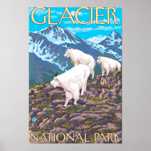 Gebirgsziegen-Szene - Glacier Nationalpark, Poster