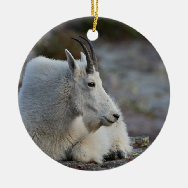 Gebirgsziegenstillstehen Keramikornament (Vorne)