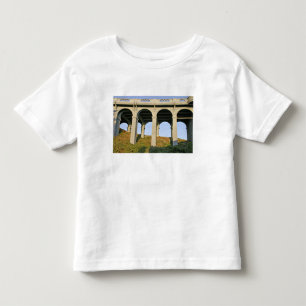 Gebogene Stützen der Patterson Memorial Bridge Kleinkind T-shirt