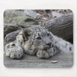 Gebohrter Schnee-Leopard CUB Mousepad