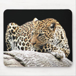 Gebohrtes Leopard mousepad