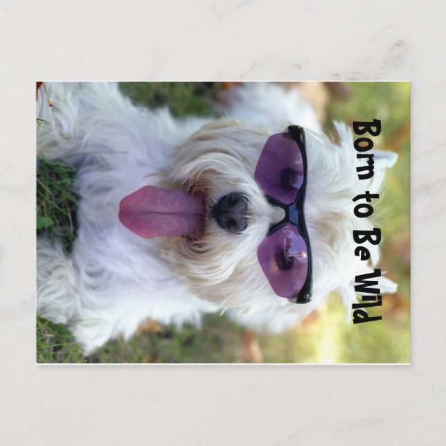 Geboren, frei zu sein Postkarte (Vorderseite)