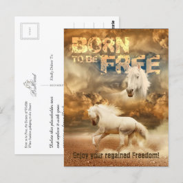 Geboren, frei zu sein, Schönheit der Tierwelt: Wei Postkarte