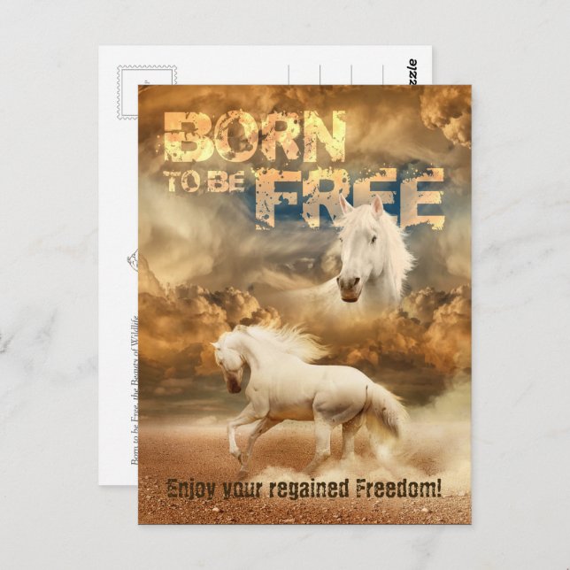 Geboren, frei zu sein, Schönheit der Tierwelt: Wei Postkarte (Vorne/Hinten)