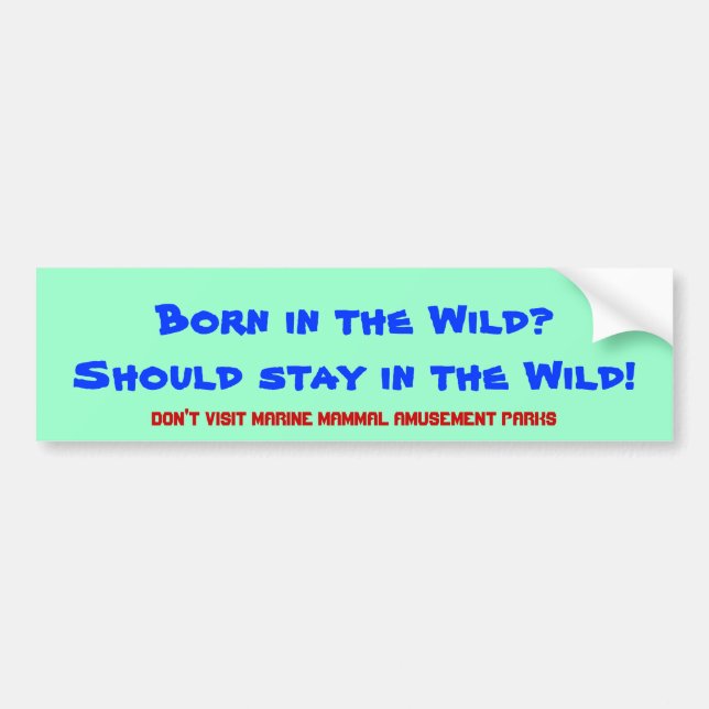 Geboren im wilden? Sollte im wilden bleibe! Autoaufkleber (Vorne)