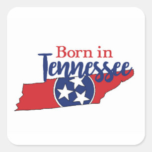Geboren in Tennessee Staat Symbols Freiwilliger St Quadratischer Aufkleber