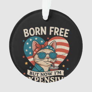 Geboren kostenlos aber jetzt bin ich teuer 4. Juli Ornament