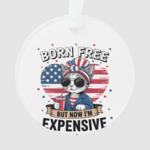 Geboren kostenlos aber jetzt bin ich teuer lustige ornament