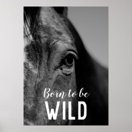 Geboren, Nah-up-Horse Wildschwarz und Weiß zu sein Poster