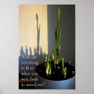 Geboren, Plakat heraus zu stehen