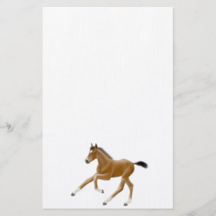 Geboren, Thoroughbred-Fohlen-Briefpapier laufen zu Briefpapier