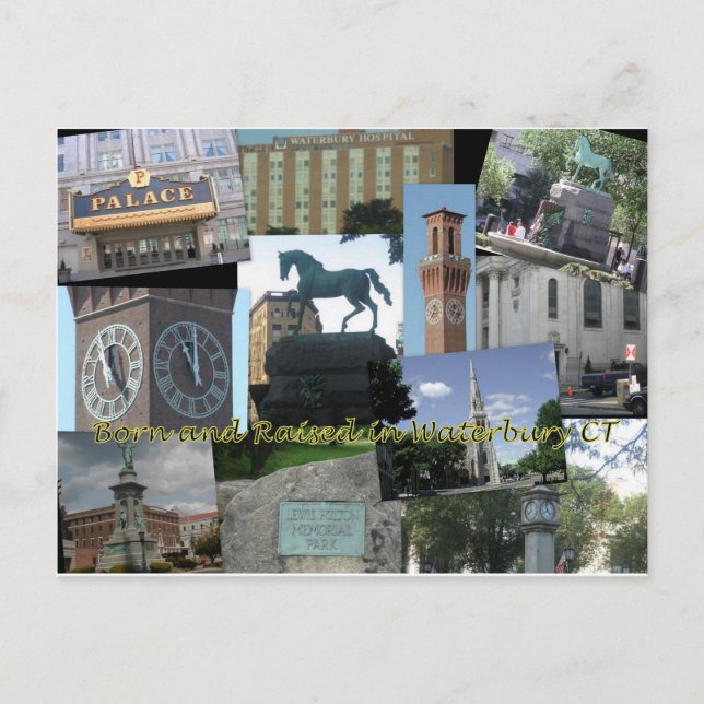 Geboren und in Waterbury CT aufgewachsen Postkarte (Vorderseite)