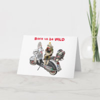 Geboren, WILD Geburtstag zu sein