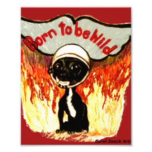 Geboren, wilder Chihuahua durch Carol Zeock zu Fotodruck