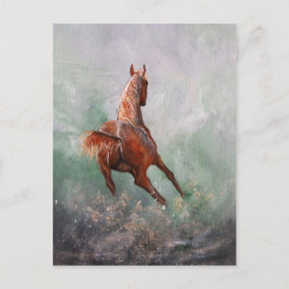 Geboren zu Barrel Race Postkarte