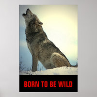 Geboren zu sein, Motivierend Wolf Howling Moon