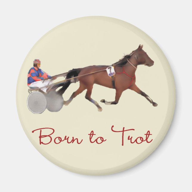 Geboren zu Trot Magnet (Vorne)