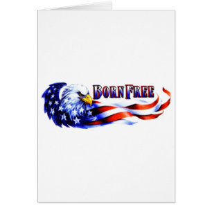 Geborener freier kahler Adler und USA-Flagge