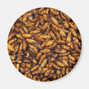 Gebratene Seidenraupe-… thailändische Magnet