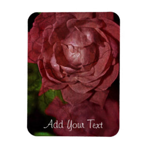 Gebrochene rote Rose von Shirley Taylor Magnet