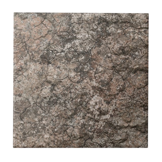 Gebrochener trockener fliese (Vorderseite)