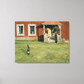 Gebrotes Haus mit einer Katze auf dem Rasen. Leinwanddruck
