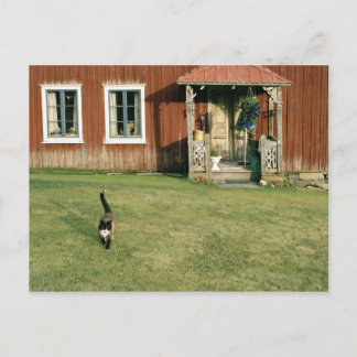 Gebrotes Haus mit einer Katze auf dem Rasen. Postkarte