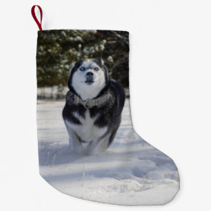 Gebühr durch Husky Weihnachts-Strumpf Kleiner Weihnachtsstrumpf