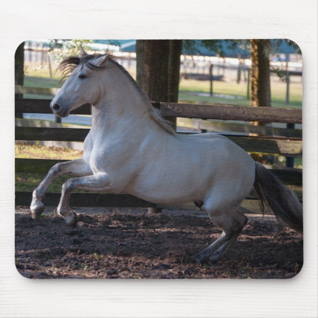 Gebühr Mousepad (Vorne)