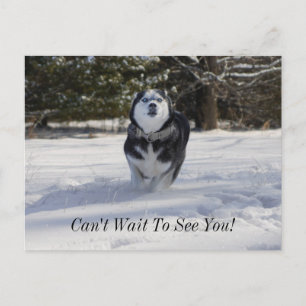 Gebühren über Postkarte