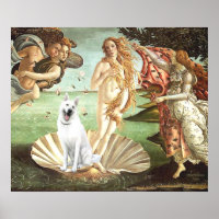 Geburt des Venus-White-Hirten