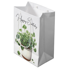 Geburt Sukkulente Pflanze in Pot Mittlere Geschenktüte
