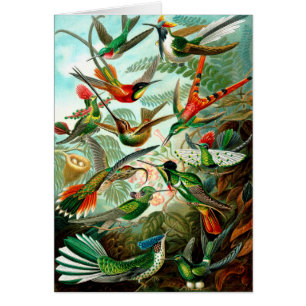 Geburt von Ernst Haeckels Kunstformen - Vintage Ku