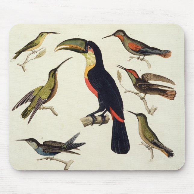 Gebürtige Vögel, einschließlich das Toucan Mousepad (Vorne)