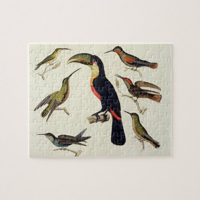 Gebürtige Vögel, einschließlich das Toucan Puzzle (Horizontal)