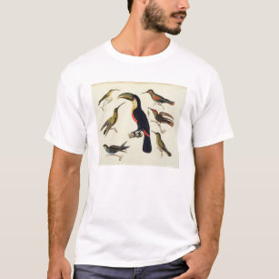 Gebürtige Vögel, einschließlich das Toucan T-Shirt
