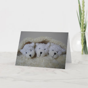 Geburtsankündigung für Triplets Ankündigung