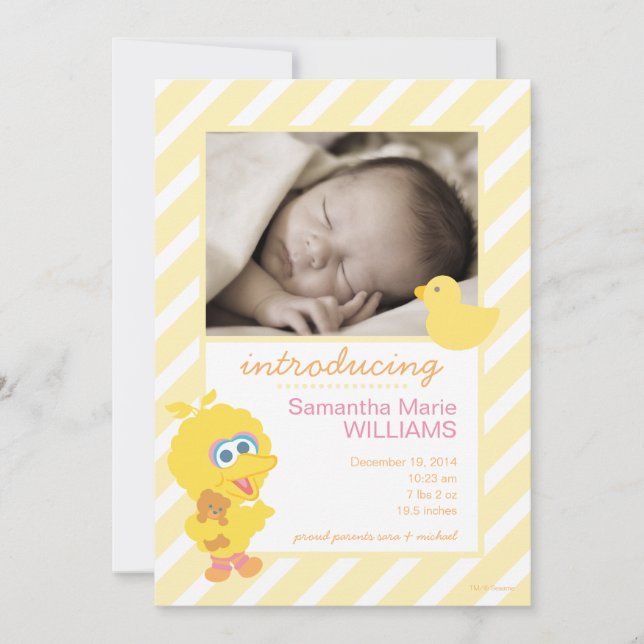 Geburtsankündigung von Big Bird Ankündigung (Vorderseite)