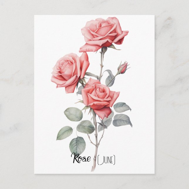 Geburtsdatum-Blume Rose (Juni) Postkarte (Vorderseite)